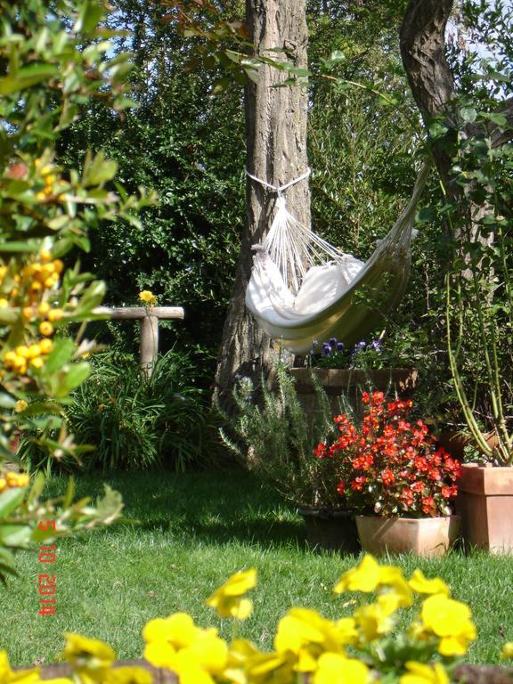 Le Palazze B&B Chiusi Extérieur photo